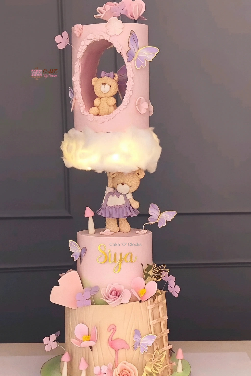 Magical Butterfly Bear Cake